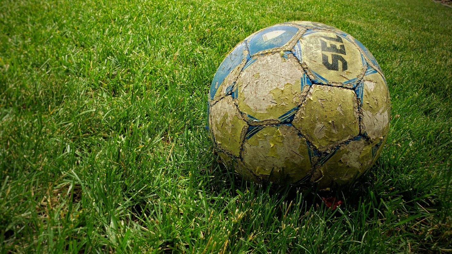 Estrategias tácticas para equipos de formación